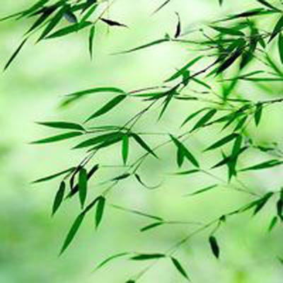 跨越千年九游版下载