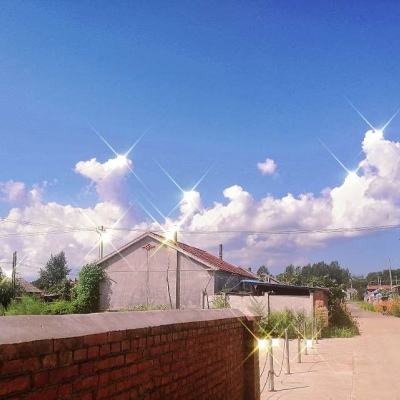华为whatawalk手游下载